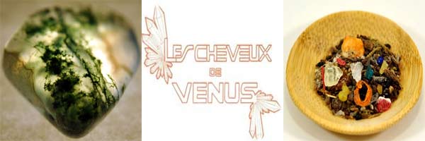 Exposant - LES CHEVEUX DE VENUS